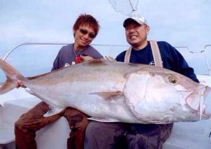 夢見釣到大魚|夢見釣魚